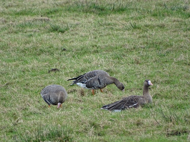 环境挑战 环境挑战