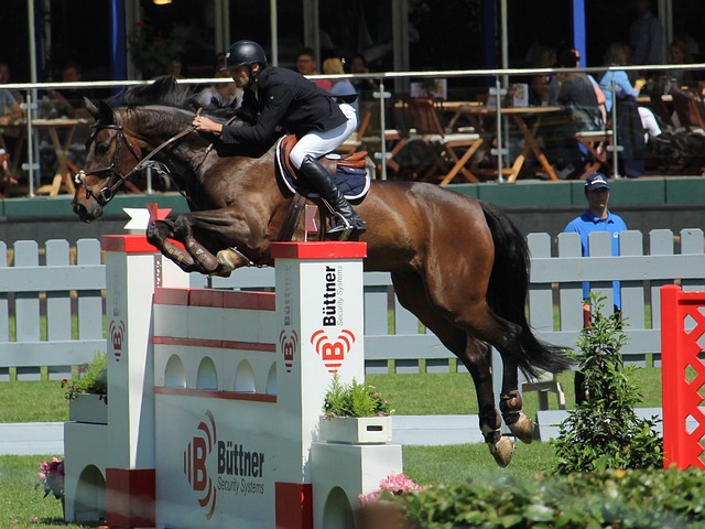 也提醒了联 也提醒了联