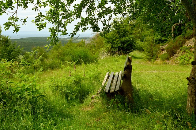 扰着他们 扰着他们