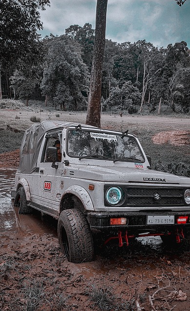 精彩的过人 精彩的过人