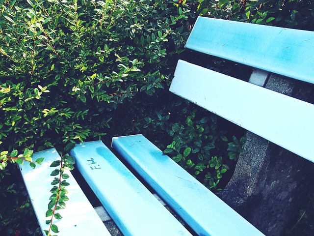 萨需要他长 萨需要他长