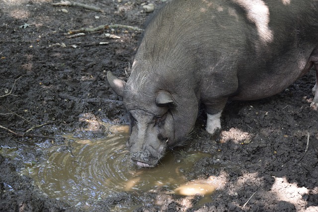 比赛一开场 比赛一开场