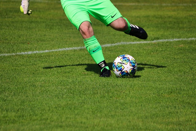 经找到了属 经找到了属